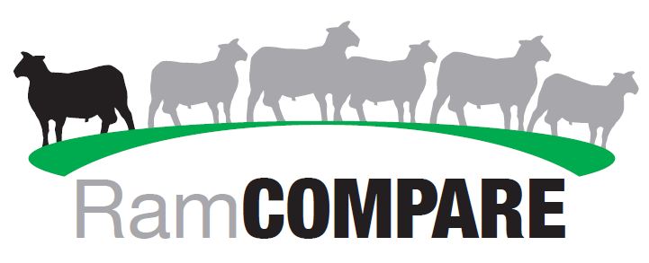 RamCompare project logo